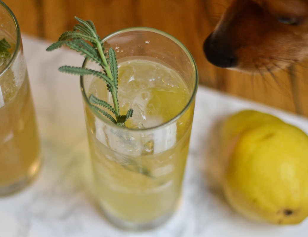 lavender liqueur lemon seltzer cocktail