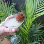 rambutan cocktail