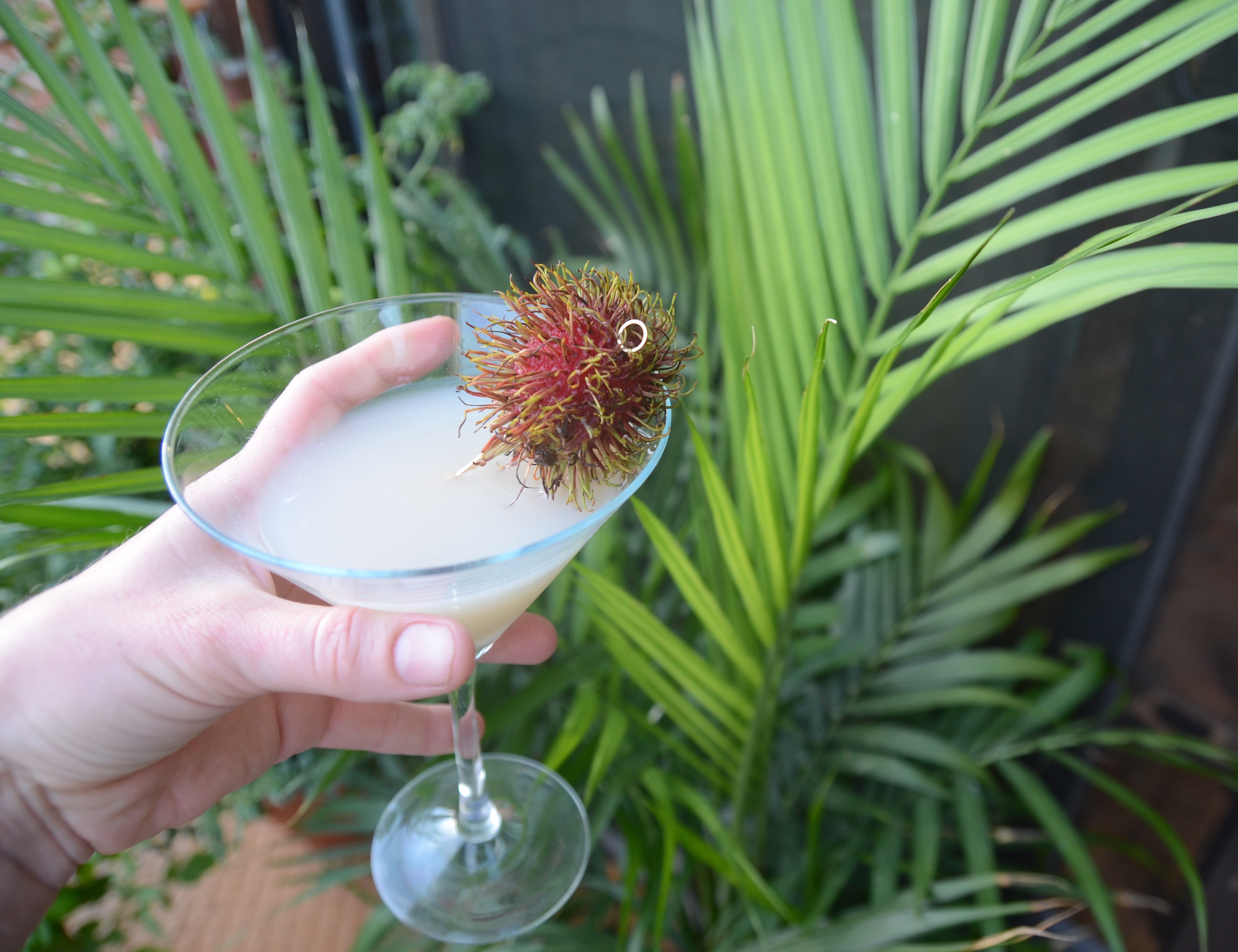 rambutan cocktail