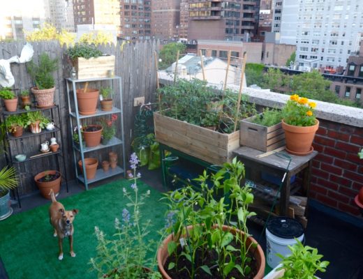 UES balcony cocktail garden