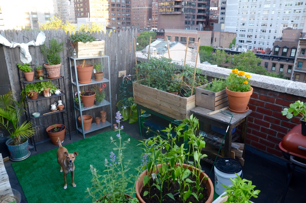 UES balcony cocktail garden