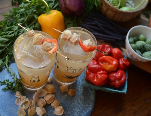 Ground Cherry Pisco Sour with Lemon and Sherry