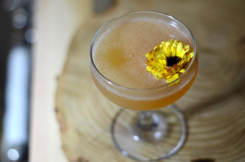 chamomile martini with gin and honey and pomelo