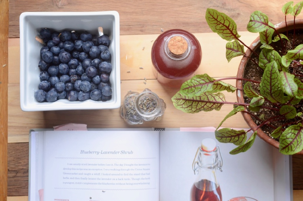 blueberry lavender shrub