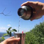 celery gin and tonic on breakneck ridge