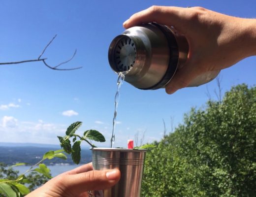 celery gin and tonic on breakneck ridge