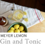 meyer lemon cocktail with tea towel