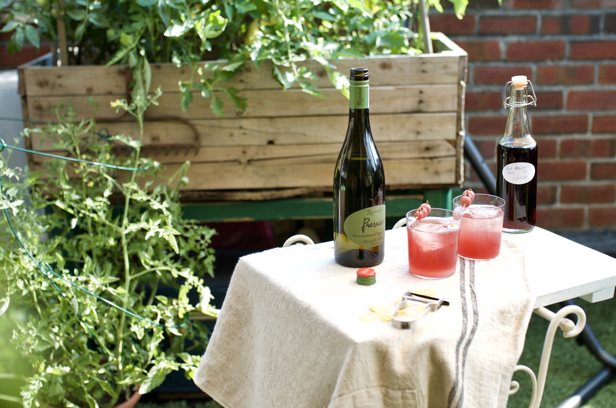 rooftop garden with cocktail